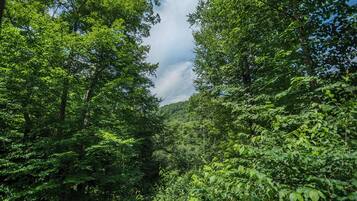 Hus (3 Bedrooms) | Fasilitet på overnattingsstedet