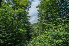 Huis (3 Bedrooms) | Accommodatievoorzieningen