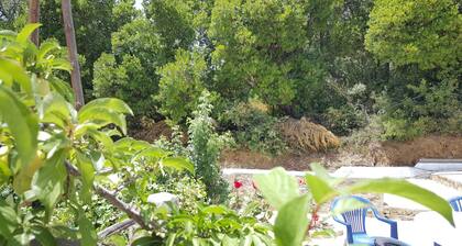 Gite Talassemtane, a cosy guesthouse in the middle of nature in Chefchaouen area