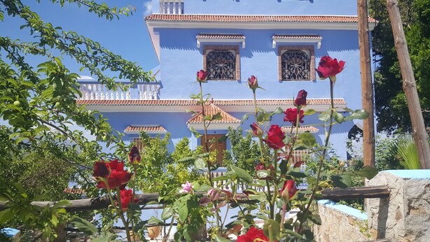 A blue house with a tiled roof and two windows with decorative iron grilles. - Gite Talassemtane, a cosy guesthouse in the middle of nature in Chefchaouen area (Chefchaouen)