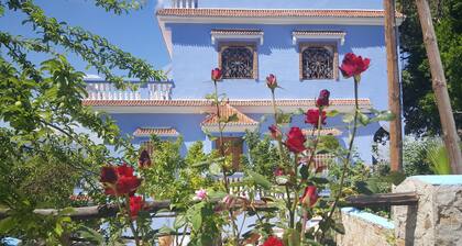Gite Talassemtane, a cosy guesthouse in the middle of nature in Chefchaouen area