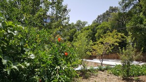Property grounds - Gite Talassemtane, a cosy guesthouse in the middle of nature in Chefchaouen area (Chefchaouen)