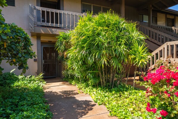 Enter a serene oasis with a beautifully maintained garden and elegant entrance.