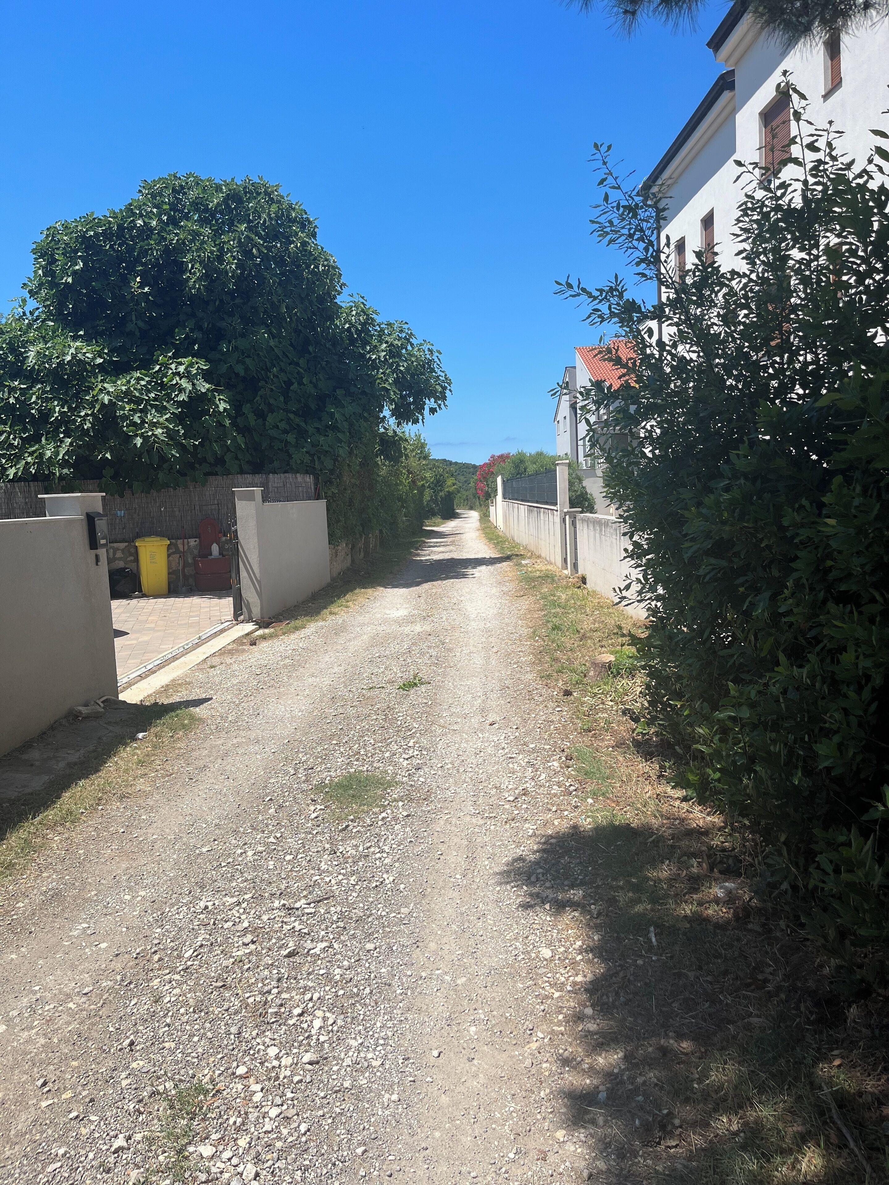 Un chemin de gravier bordé de bâtiments et de végétation.