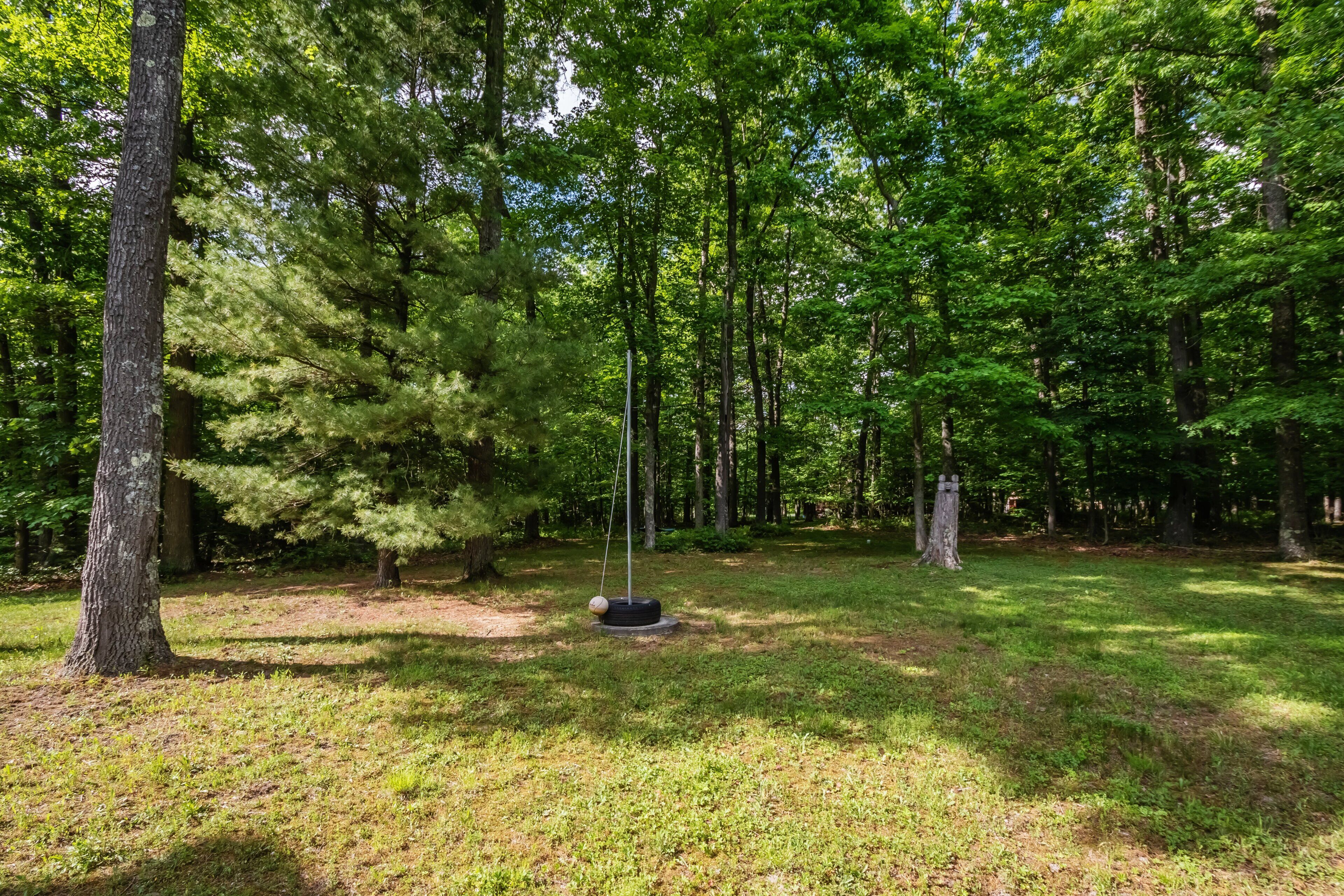 A natural outdoor area with a swing set and a tire swing.