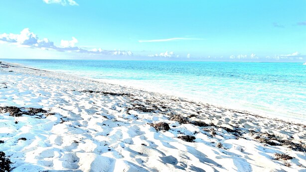 A beach with clear blue water and a sandy shore. - Paradise Stay Studio-Beaches-Relax-Nature-Free Parking (Providenciales)