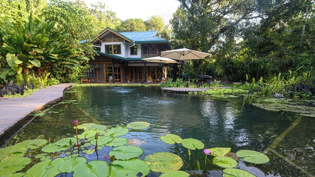 A house with a pond, surrounded by lush greenery.
