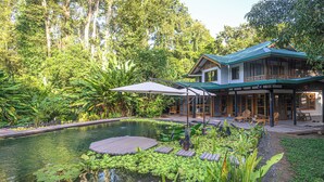 A house with a pool surrounded by lush greenery.