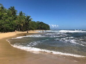 Beach nearby - Gated Beachfront Community- Huge Natural Pool- TRIPLE Suites Birders delight! (Puerto Viejo)