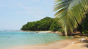 A beach with clear turquoise water, sandy shore, and dense green foliage.