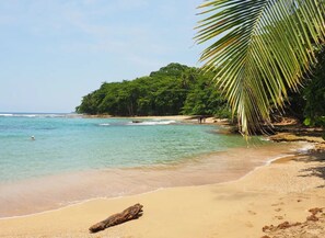 Beach nearby - Gated Beachfront Community- Huge Natural Pool- TRIPLE Suites Birders delight! (Puerto Viejo)