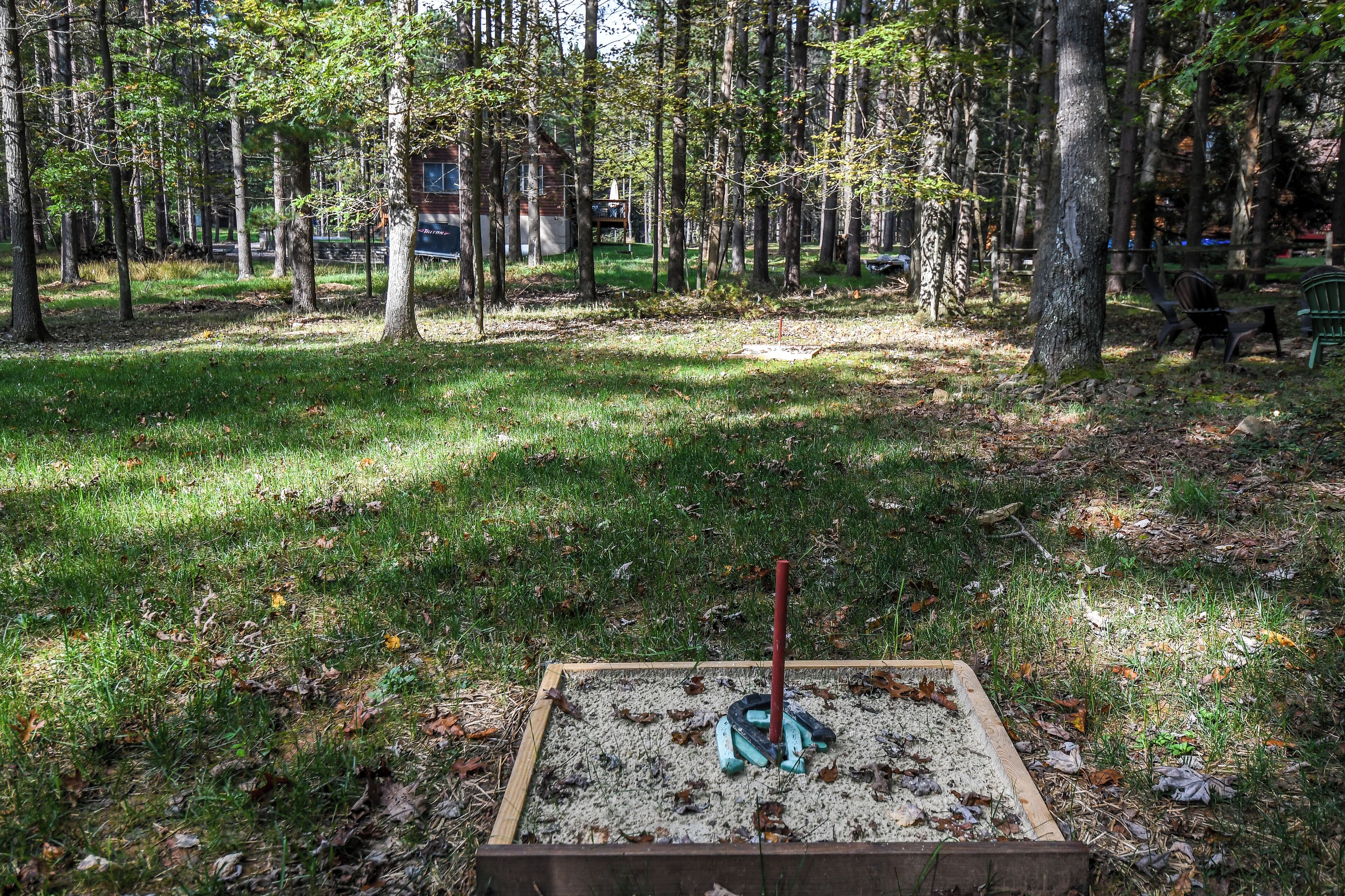 A forested area with a sandbox in the foreground.