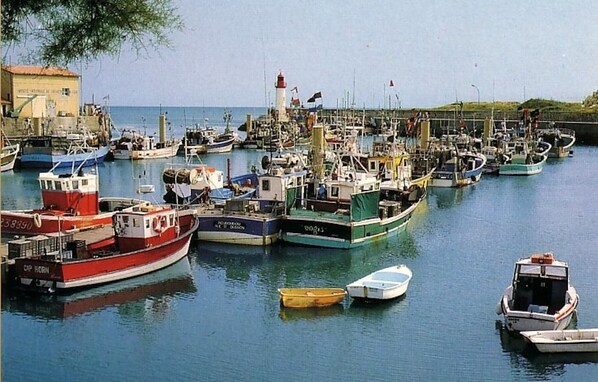 Marina