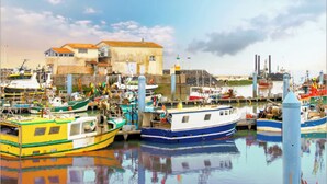 A harbor with various boats docked, a building with a red roof, and industrial structures in the background. - VILLA LA COTINIERE (Saint-Pierre-d'Oléron)
