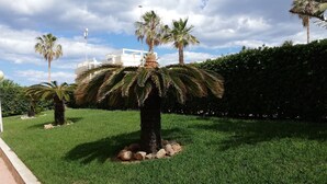A well-maintained grassy area with palm trees and a hedge. - Las Olas  4º Solo Familias! (Xeraco Playa)