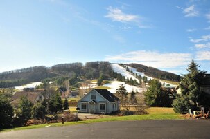 Servicio de la propiedad