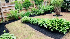 A well-maintained garden with various plants and a wooden fence.