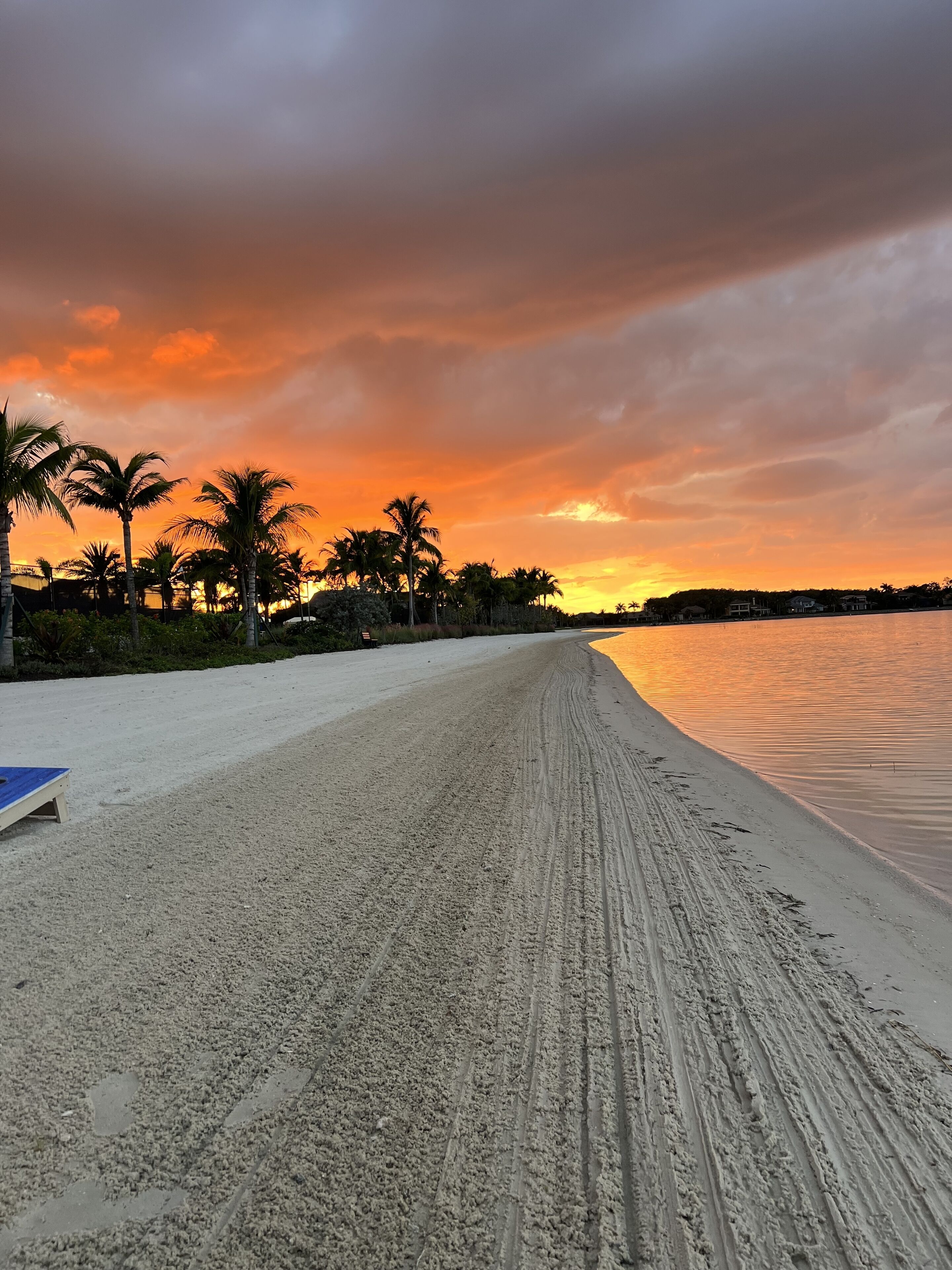 A beach with a sandy path leading to the water, palm trees, and a sunset.