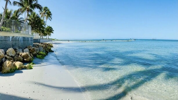 A beach with clear water, palm trees, and a rocky shoreline. - 5 Miles to the beach, family home, saltwater pool, pickleball & tennis courts (Naples)