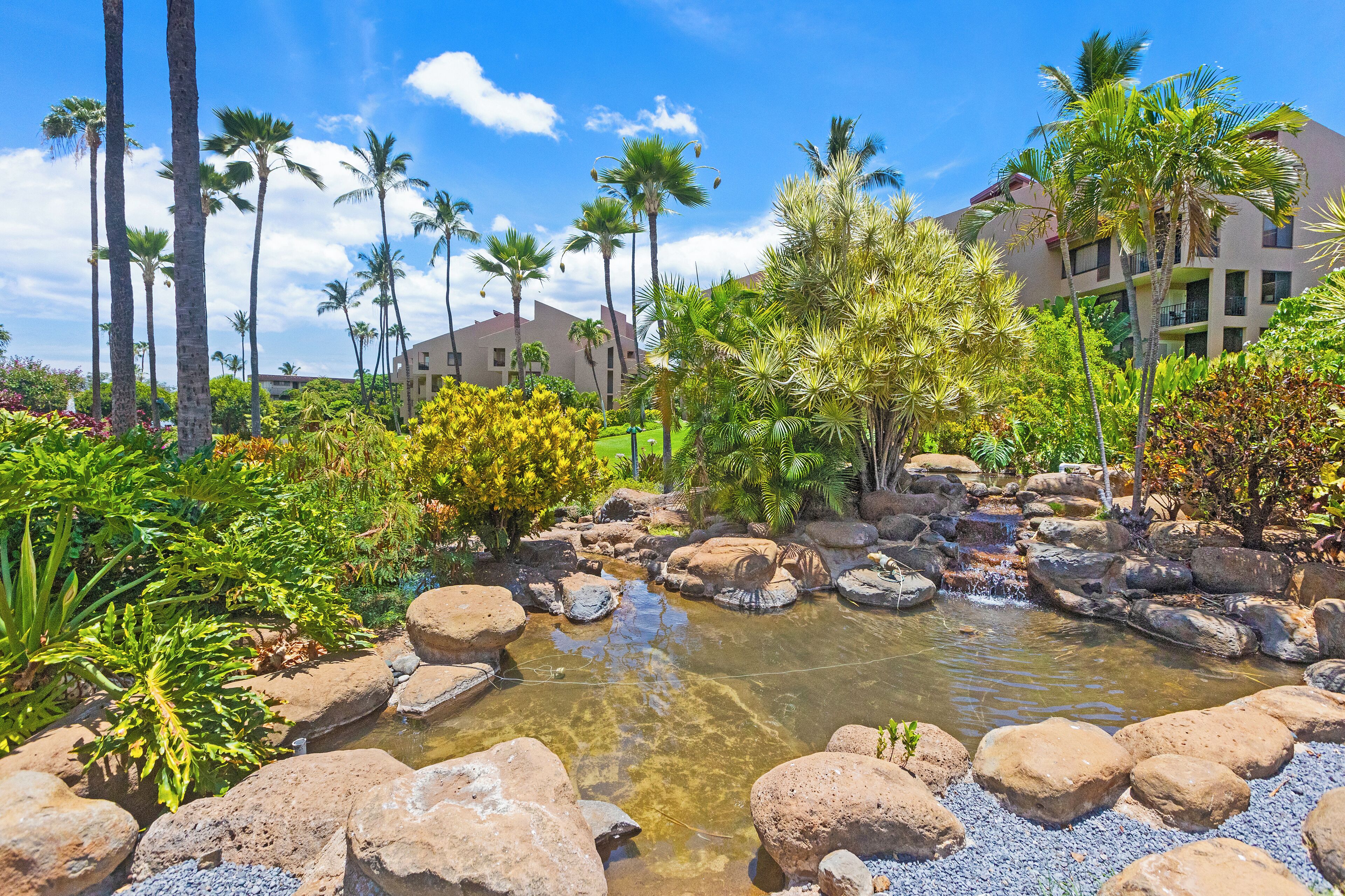 A landscaped garden with a pond, palm trees, and a building in the background.