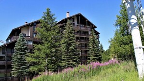 A multi-story building with balconies, surrounded by tall evergreen trees and wildflowers. - 250m from resort center, 3rd floor, terrace, tv, ski locker, 45m², Risoul (Risoul)