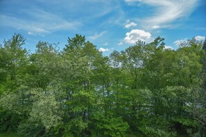 House (6 Bedrooms) | Property amenity