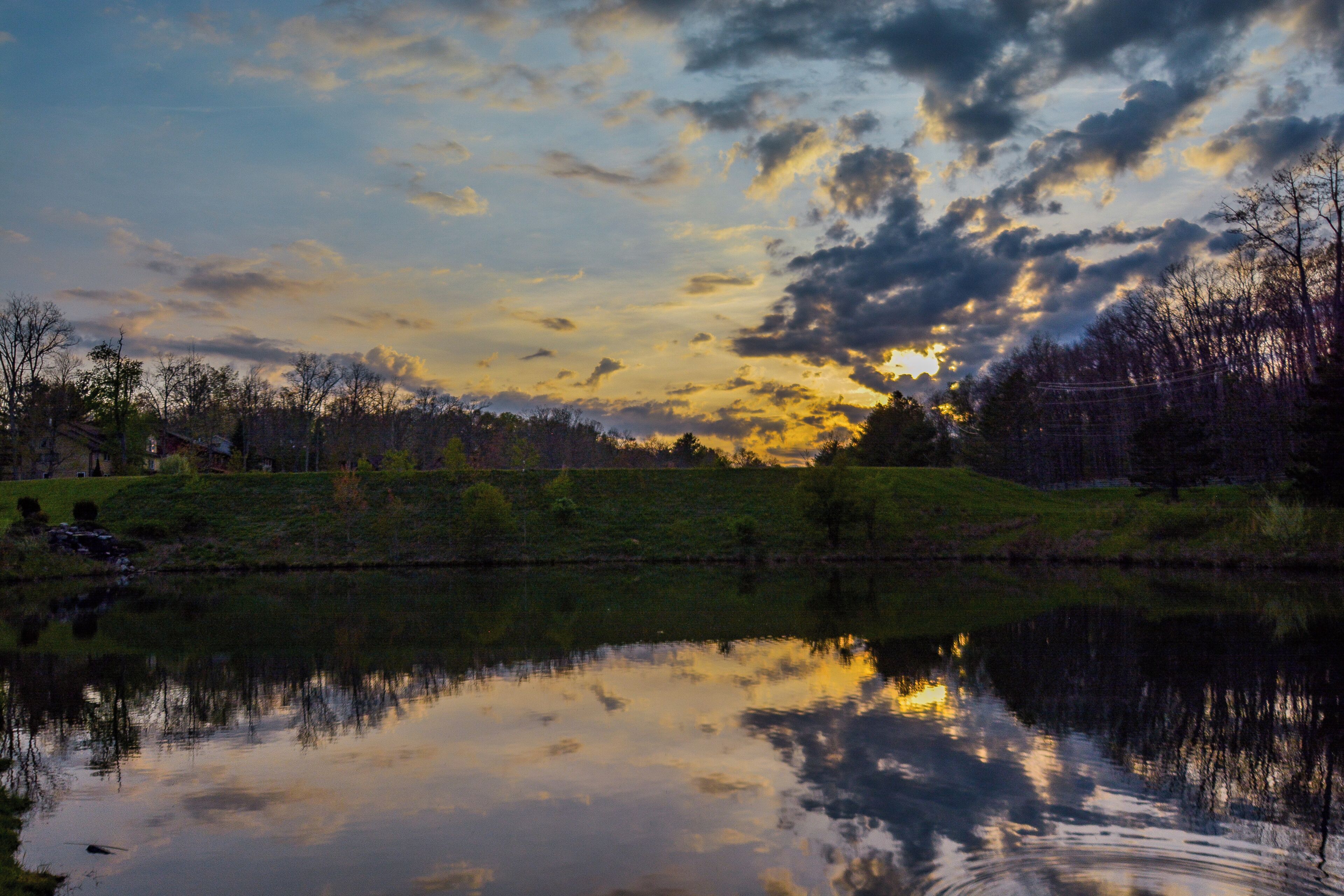 A calm lake reflecting the sky with clouds, surrounded by trees and a grassy area.