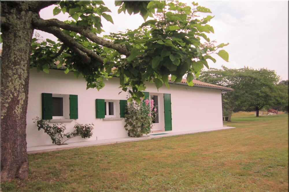 House in a green setting