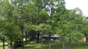 A house surrounded by a lush green lawn and tall trees. - Golden Pond by Taylor Made Deep Creek (Swanton)