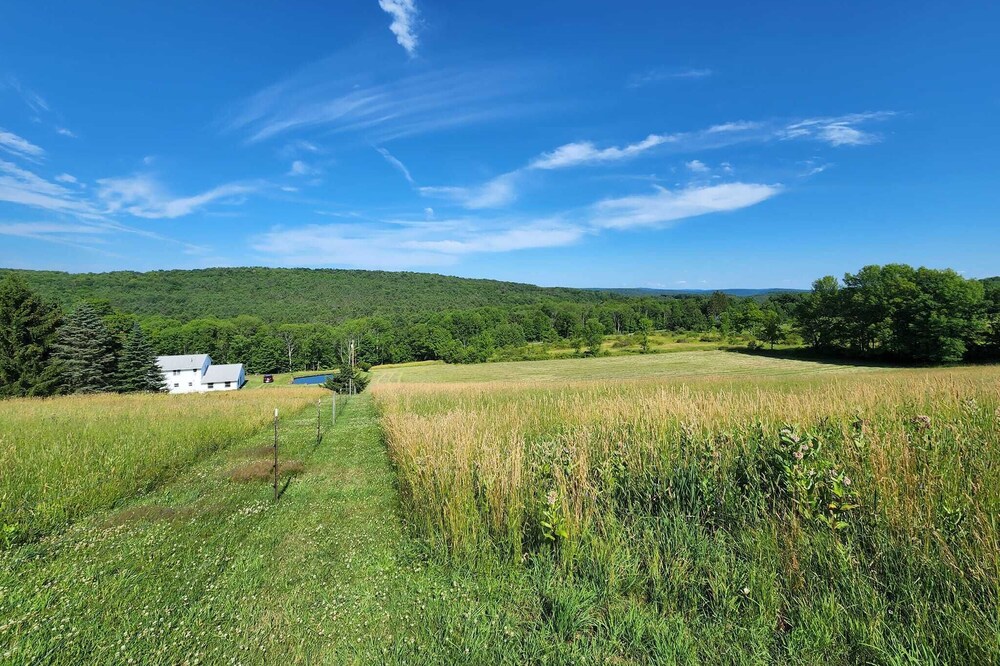 The Farmhouse, where peace and quiet awaits