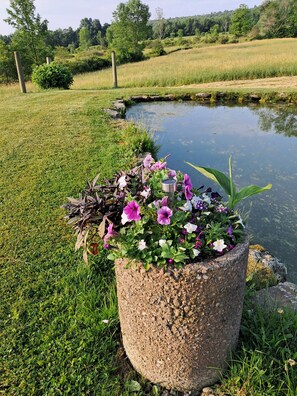 A garden with a pond, surrounded by grass and trees. - The Farmhouse, where peace and quiet awaits (Otego)