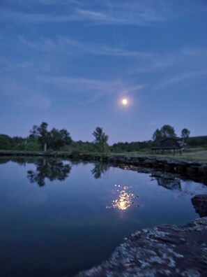 A tranquil lakeside scene at dusk with a full moon reflecting on the water. - The Farmhouse, where peace and quiet awaits (Otego)