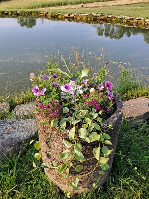 A flower pot with various flowers and plants by a pond. - The Farmhouse, where peace and quiet awaits (Otego)