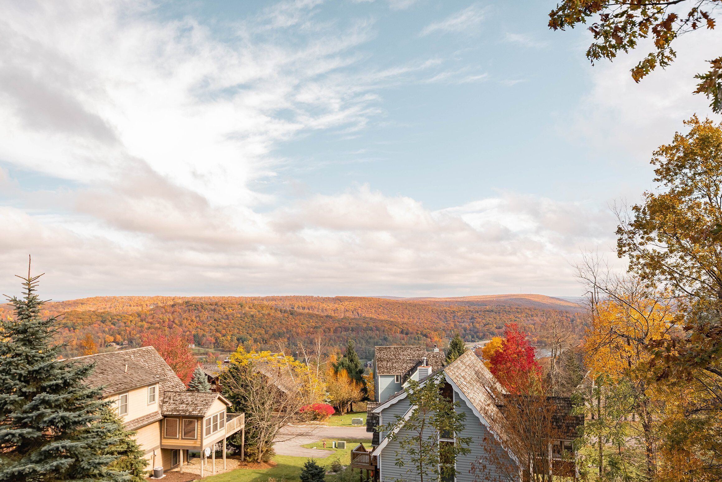 A residential area with houses, a clear sky, and autumn foliage.