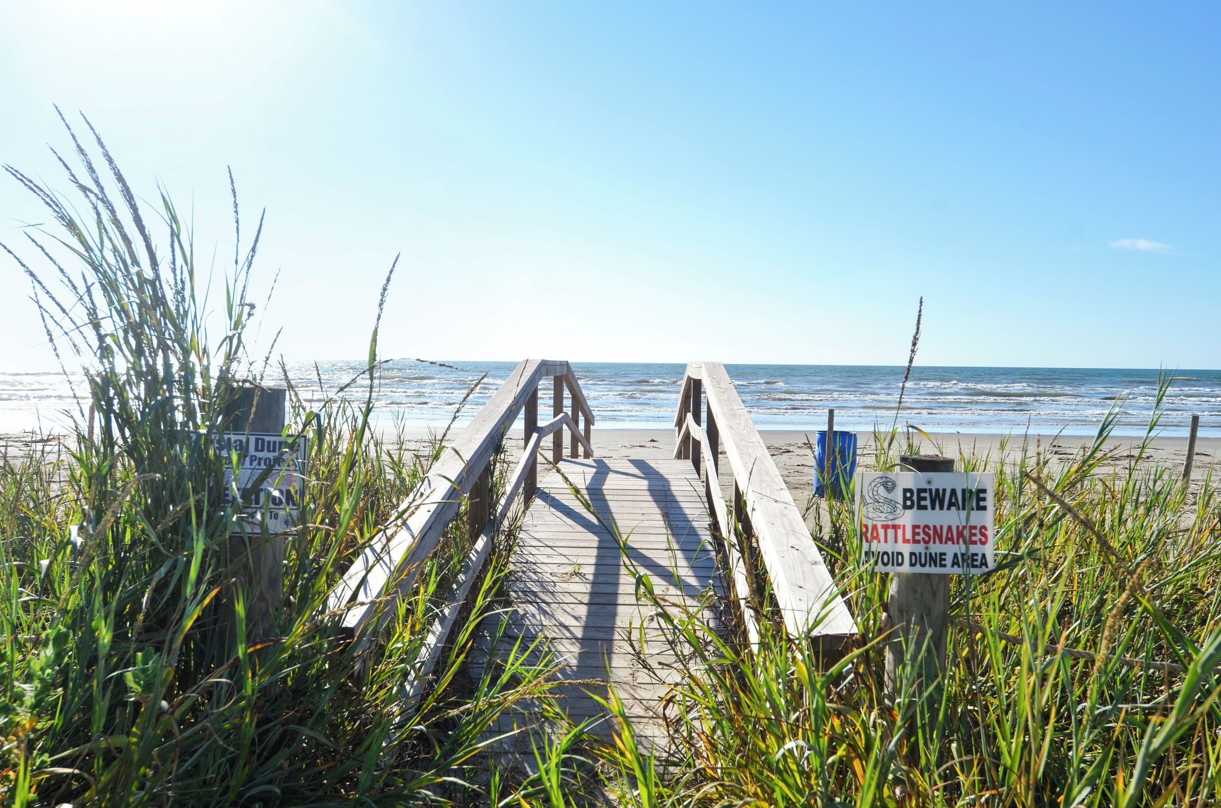 A wooden boardwalk leading to a beach with a warning sign about rattlesnakes.