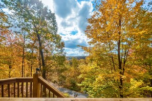 A wooden deck with a railing overlooking a forested area with autumn foliage.