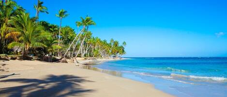 Playa en los alrededores