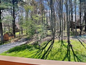 A forested area with a small wooden structure, a clear path, and a grassy area with shadows. - Lakeview Cottage by Taylor Made Deep Creek (Oakland)