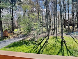 Un área boscosa con una pequeña estructura de madera, un sendero despejado y una zona de césped con sombras.