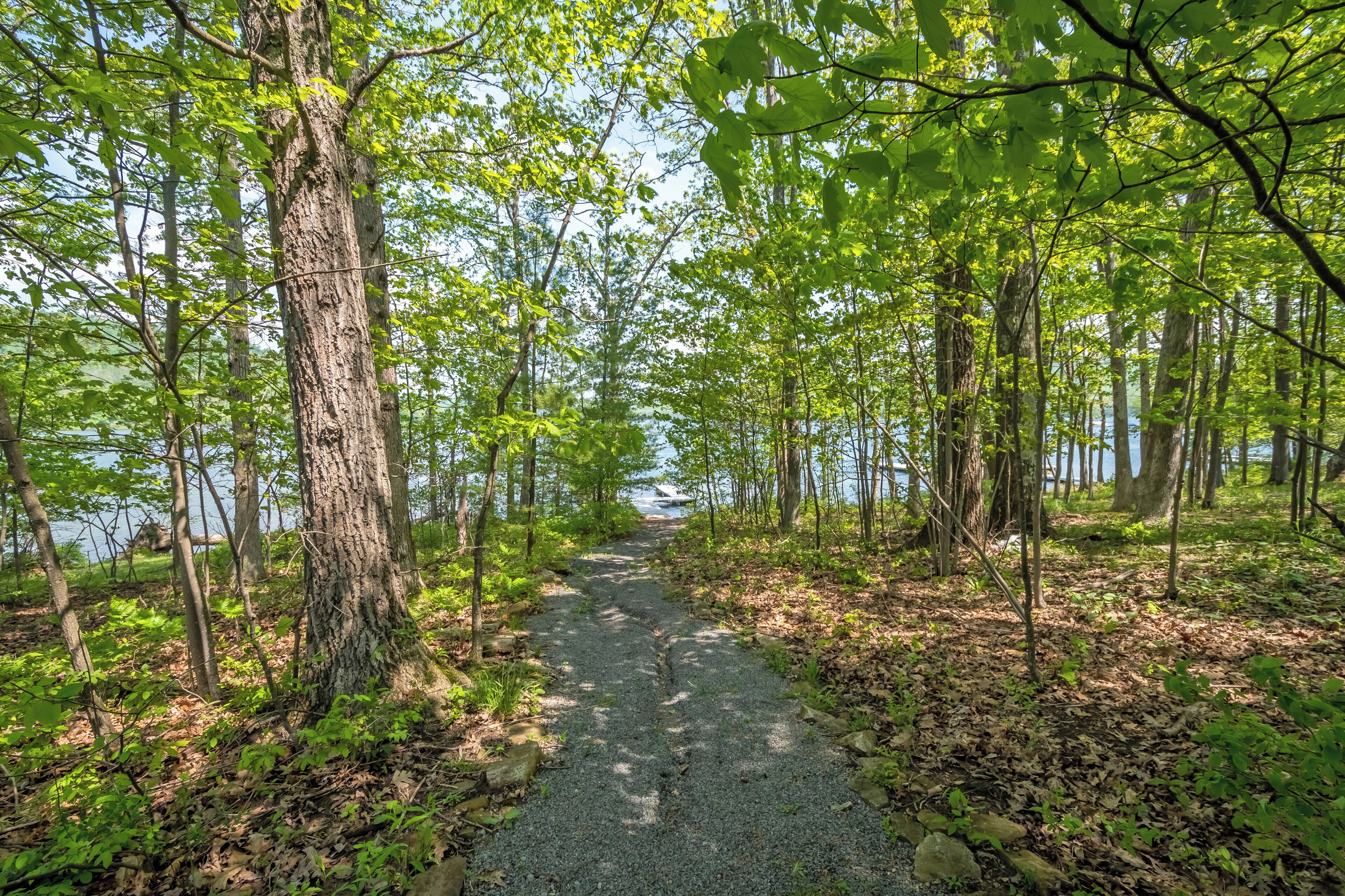 A gravel path flanked by trees leading to a body of water.