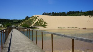 Un paseo marítimo de madera que conduce a una playa arenosa, con una colina boscosa al fondo.