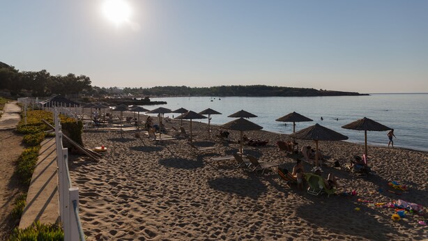 A beach with umbrellas and lounge chairs.