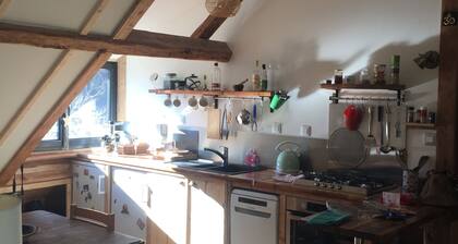 Atypical vacation apartment for rent - Pelvoux (05)