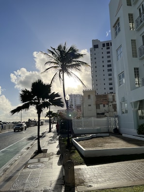Stroll along the palm-lined sidewalk, taking in the vibrant urban atmosphere.