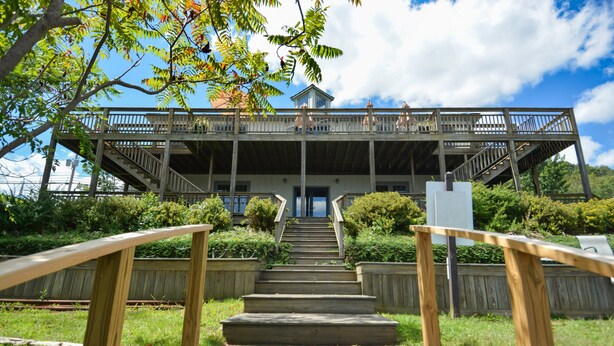 A wooden staircase leading to a covered deck with railings, surrounded by greenery. - Lucky 12 by Taylor Made Deep Creek (Oakland)