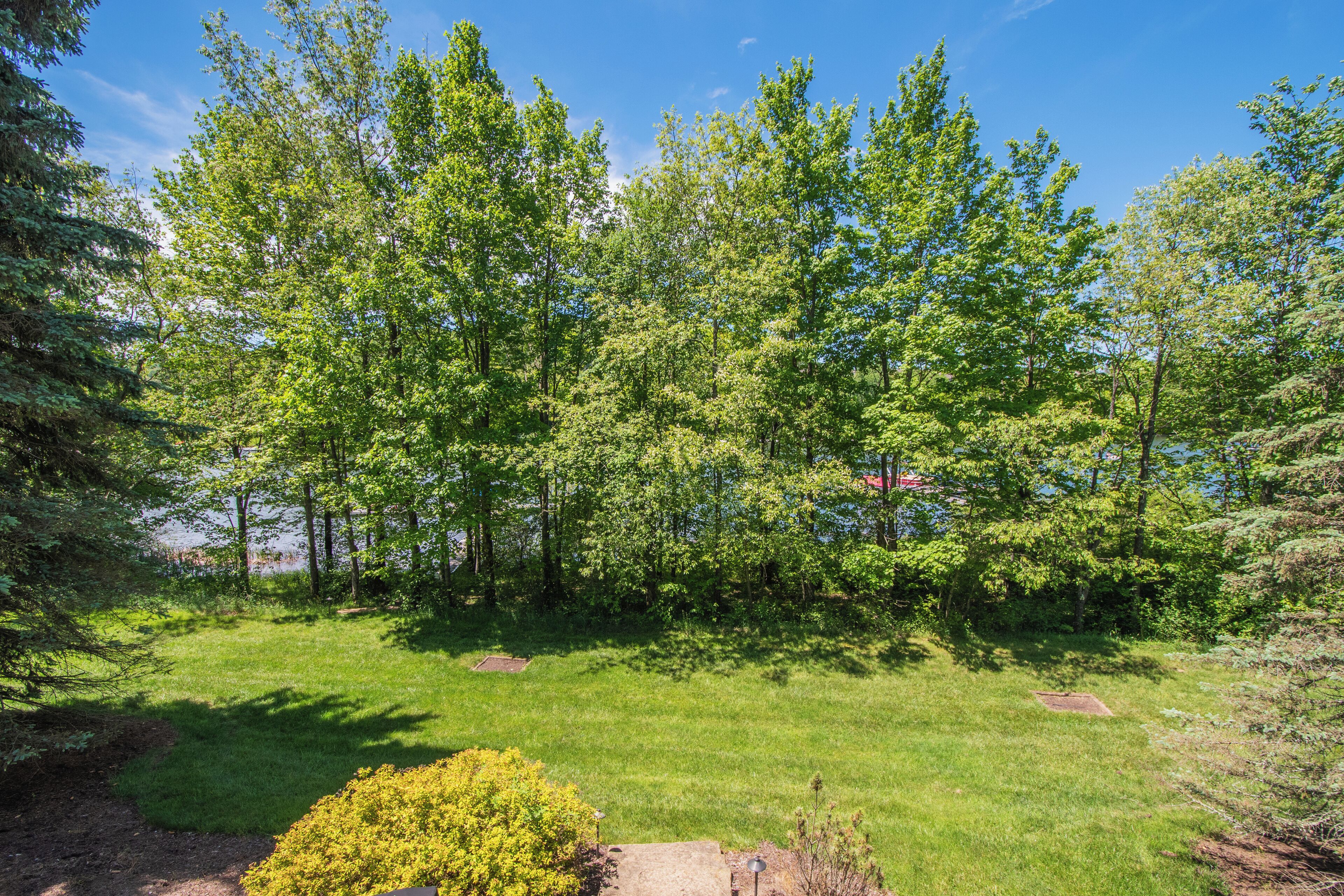 A grassy area with trees and a clear sky.