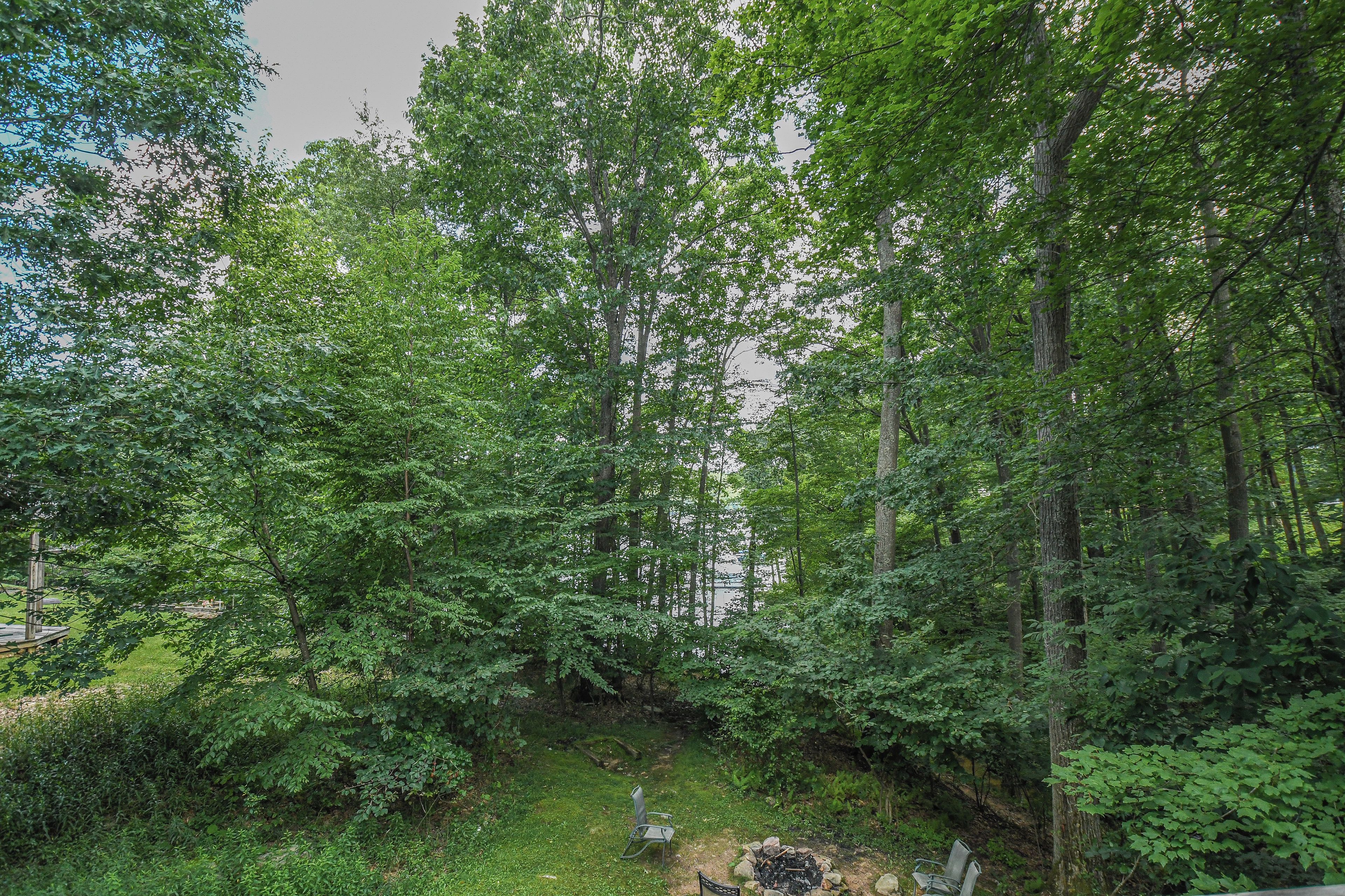 A forested area with a picnic table and a fire pit.