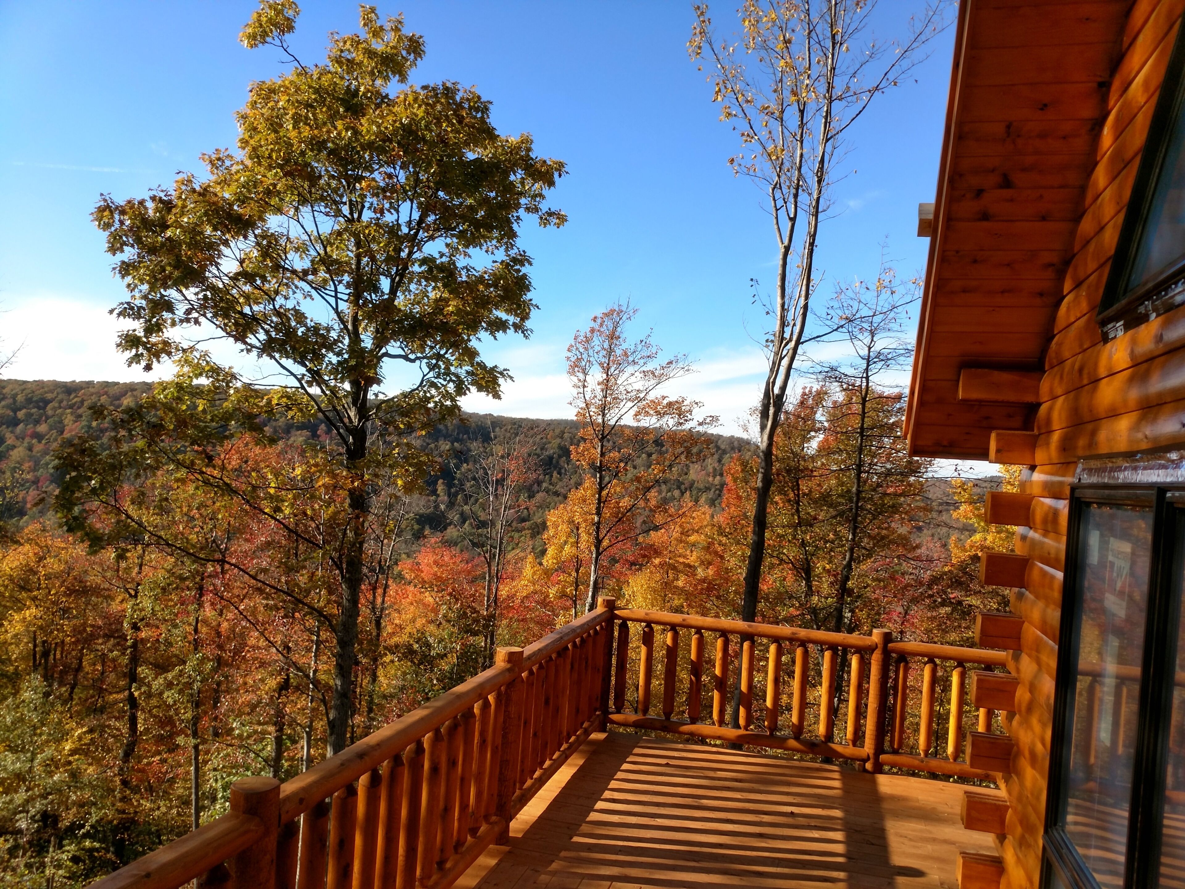 A wooden deck with a railing overlooking a forested area with autumn foliage.
