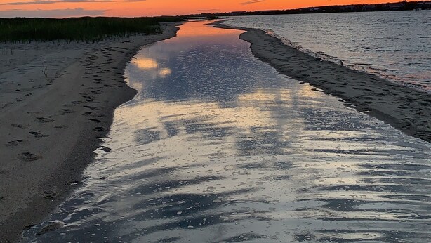 A beach with a reflective water surface and a sunset sky. -  BRAND NEW KITCHEN! CLOSE TO DOWNTOWN EDGARTOWN AND THE BEACH! (Edgartown)
