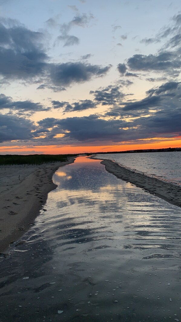 Beach - BRAND NEW KITCHEN! CLOSE TO DOWNTOWN EDGARTOWN AND THE BEACH! (Edgartown)